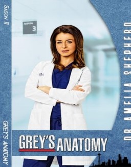 Grey's Anatomy saison 11